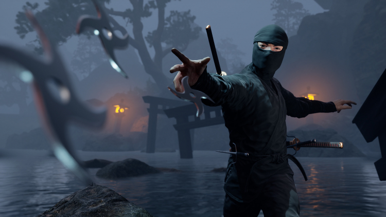 Кадр из видеоигры Ninja Simulator